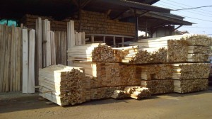 Harga Kayu Albasiah, Jual Kayu Albasiah